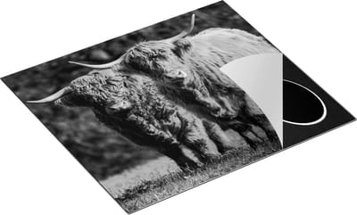 Chefcare Inductie Beschermer Twee Schotse Hooglanders in de Groene Weide - Zwart Wit - 60x50 cm - Afdekplaat Inductie - Kookplaat Beschermer - Inductie Mat
