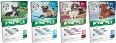 Advantage 400 - Hond - 25 tot 40 kg - 4 pipetten x 4 ml
