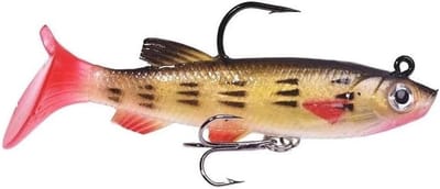 Zacht Rubberen Vis Aas - Kunstaas Wobbler - Roofvissen Vangen - Realistische Drijfwerking - 75 cm 12 g - Veelkleurig