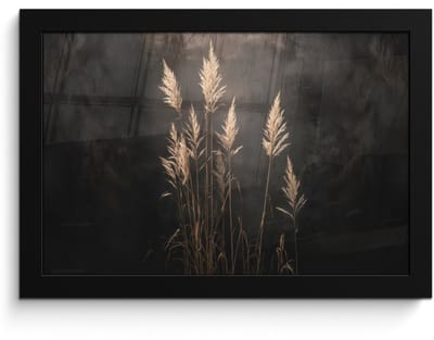 Poster in lijst - Fotolijst 30x20 cm - Posters - Siergras - Pluimen - Verlichting - Zwart - Posterlijst zwart - Decoratie - Wanddecoratie woonkamer - Muurdecoratie slaapkamer