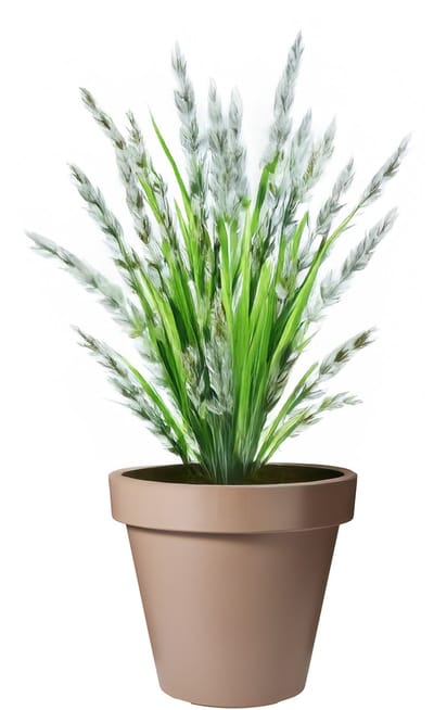 Pro Garden Bloempot - mokka bruin - rond - D30 cm - kunststof - plantenpot - tuin buiten