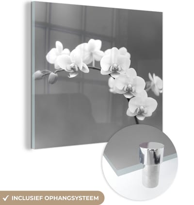 MuchoWow® Glasschilderij 90x90 cm - Schilderij acrylglas - Orchidee - Bloemen - Plant - Wit - Paars - Foto op glas - Schilderijen