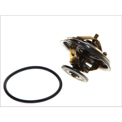Borgwarner (Wahler) Thermostaat, koelvloeistof WAHLER 4274.82D