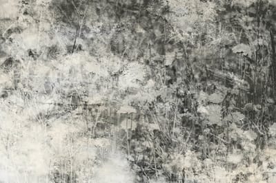 Fotobehang - Nature Gray Abstract 375x250cm - Vliesbehang