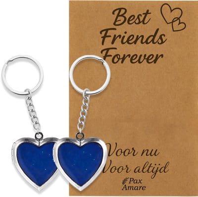 BFF Sleutelhanger voor 2 'Best Friends Forever' - Medaillon verandert van kleur - Sleutelhangers op Cadeau Kaartje - Zilverkleurig - Vriendschap Symbool - Pax Amare