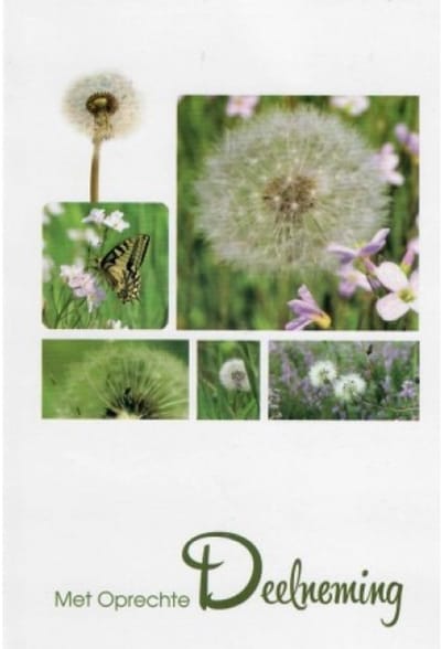 Met oprechte deelneming! Veel sterkte voor nu en de komende tijd. Een mooie kaart met een afbeelding van verschillende bloemen en een vlinder in het gras. Een dubbele wenskaart inclusief envelop en in folie verpakt.