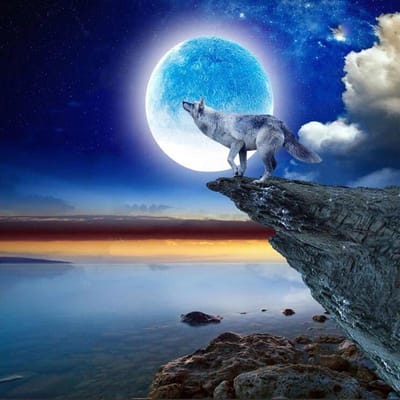 5D DIY Diamond schilderij Wolf onder het maanlicht borduren kruissteek 30x30CM blue