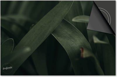 Inductie beschermer 60x60 - afdekplaat inductie mat - Dietrix Kookplaat beschermer - Exclusief - Leaves - 20 Donkergroene bladeren