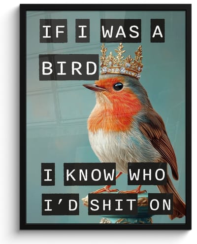 Poster in lijst - Fotolijst 60x80 cm - Posters - Roodborstje - Vogel - Blauw - Decoratie - Posterlijst zwart - Decoratie - Wanddecoratie woonkamer - Muurdecoratie slaapkamer