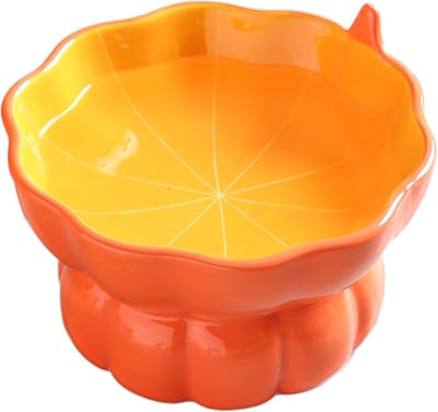 Famanu – Verhoogde voerbak voor katten - kantelontwerp - keramische waterbak - geschikt voor katten - puppy’s en kleine honden