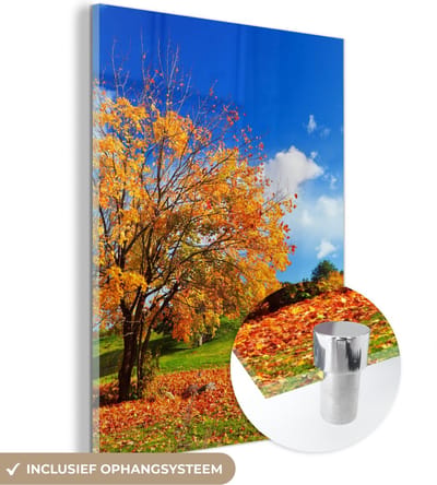 MuchoWow® Glasschilderij 30x40 cm - Schilderij acrylglas - Boom - Bladeren - Herfst - Seizoenen - Foto op glas - Schilderijen
