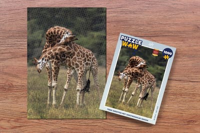 Puzzel Twee giraffen met verstrengelde nekken - Legpuzzel - Puzzel 1000 stukjes volwassenen