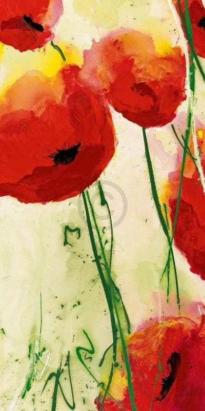 Kunstdruk Heidi Reil - Klatschmohn 50x100cm