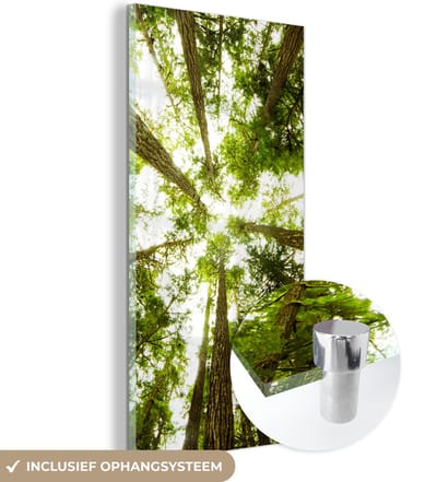 MuchoWow® Glasschilderij 20x40 cm - Schilderij acrylglas - Hoge groene bomen in jungle - Foto op glas - Schilderijen