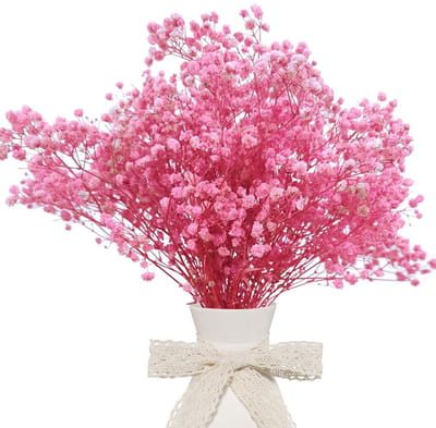 Dailygoods- Gedroogde Bloemen Roze Gypsophila - Bruiloftdecoratie - Woondecoratie - Ambachten - 37-38 cm - Veelzijdig en minimalistisch