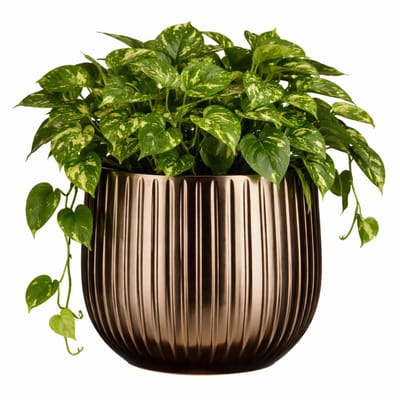 Mica Decorations Plantenpot - keramiek - brons glans / ribbels - D25 x H20 cm - bloempot Pablo