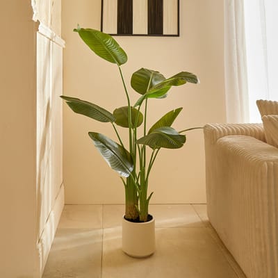 Eazy Living Kunstplant Bananenplant H140 cm