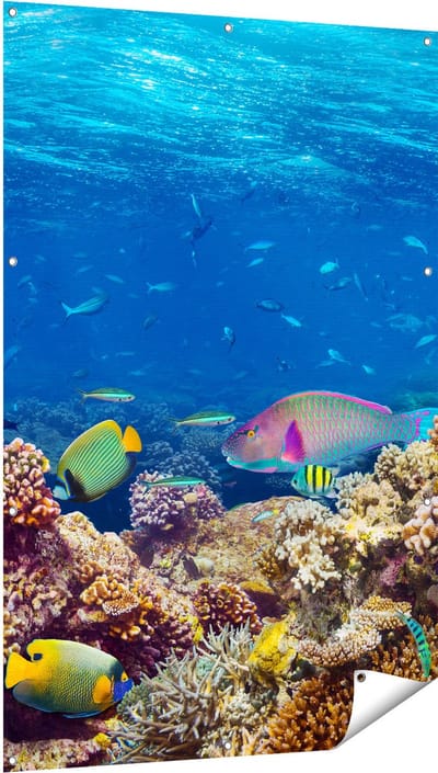 Gards Tuinposter Vissen met Koraalrif in de Oceaan - 100x150 cm - Tuindoek - Tuindecoratie - Wanddecoratie buiten - Tuinschilderij