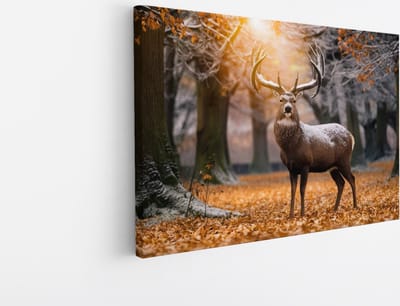 Saammp Canvas Schilderij - hert in zonsopgang met sneeuw op zich - Natuur - Dieren - 45x30 - Foto op canvas - Wanddecoratie - Muurdecoratie Woonkamer - Slaapkamer decoratie - Canvas Print