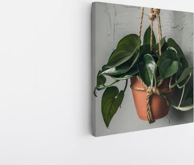 Saammp Canvas Schilderij - Hangplant Hartvormige Bladeren - Natuur - Abstract - 20x20 - Foto op canvas - Wanddecoratie - Muurdecoratie Woonkamer - Kantoor Decoratie