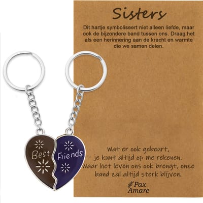 BFF Sleutelhanger voor 2 'Sisters' - Magnetisch Hartje - VERANDERT VAN KLEUR! - Sleutelhangers op Cadeau Kaartje - Zilverkleurig - Vriendschap Symbool - Pax Amare
