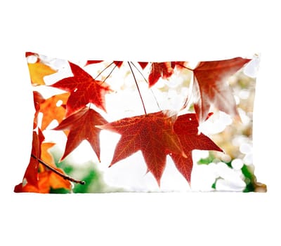 Sierkussens - Kussentjes Woonkamer - 50x30 cm - Herfstbladeren - November - Natuur - Bomen