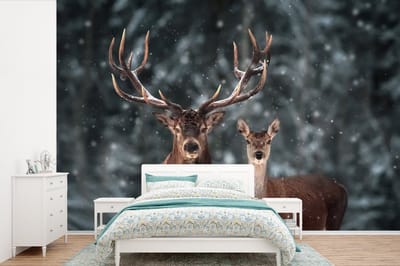 Behang - Fotobehang Hert - Dieren - Winter - Gewei - Sneeuw - Natuur - Breedte 360 cm x hoogte 240 cm