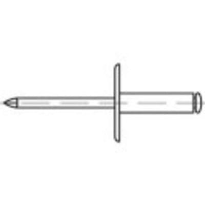 TOOLCRAFT 160312 Open popnagel (Ø x l) 4.8 mm x 13 mm Staal Staal 250 stuk(s)