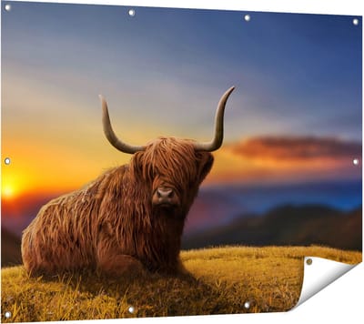Gards Tuinposter Schotse Hooglander Koe op een Heuvel - 120x90 cm - Tuindoek - Tuindecoratie - Wanddecoratie buiten - Tuinschilderij