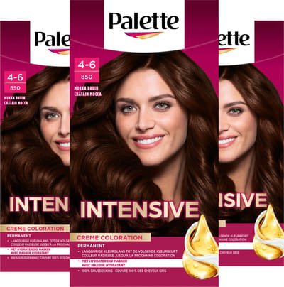 Palette - 850 Mokka Bruin - Haarverf - Intensieve, Natuurlijke Kleuren met 100% Grijsdekking - Voordeelverpakking - 3 stuks
