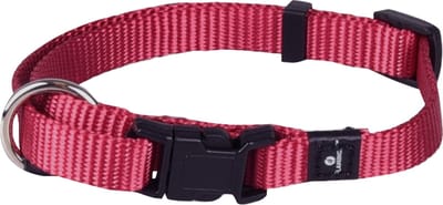 Flamingo Ziggi - Halsband Honden - Halsband Ziggi Kersenrood Xs 20-35cm 10mm - 1st - 127482 - 1st