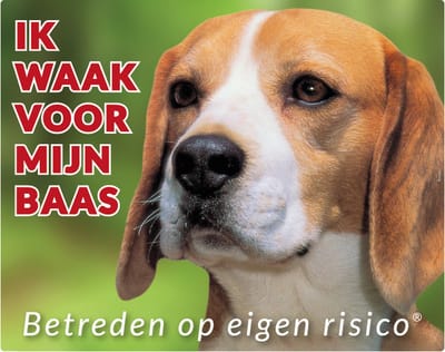 Beagle Waakbord - Ik waak voor mijn baas