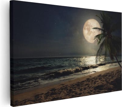 Artaza Canvas Schilderij Zeezicht - 30x20 cm - Klein - Wanddecoratie Strand - Muurdecoratie Palmboom - Kamer Accessoires Volle Maan - Woonkamer