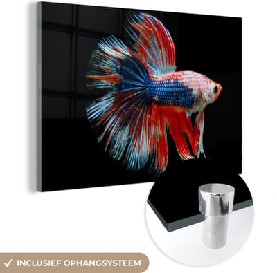 MuchoWow® Glasschilderij 120x80 cm - Schilderij acrylglas - Vis - Zeedier - Staart - Blauw - Foto op glas - Schilderijen