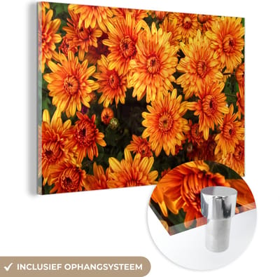 MuchoWow® Glasschilderij 120x80 cm - Schilderij acrylglas - Bloemen - Oranje - Chrysant - Foto op glas - Schilderijen