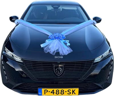 AUTODECO.NL - ALMA LICHT BLAUW Auto Versiering Bruiloft - Trouwauto Decoratie Lint - Autodecoratie - licht blauwe Rozen & Tule - Motorkap Versiering - Autobloemstuk Bruiloft - Bloemen op de Auto - Bloemen op de Motorkap - Trouwerij - Huwelijk