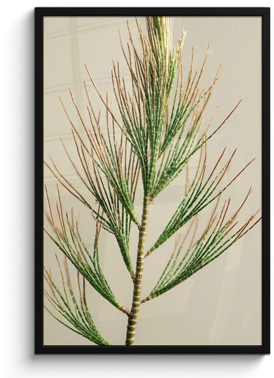 Poster in lijst - Fotolijst 60x90 cm - Posters - Dennentak - Naaldvormige bladeren - Lichtgroen - Posterlijst zwart - Decoratie - Wanddecoratie woonkamer - Muurdecoratie slaapkamer