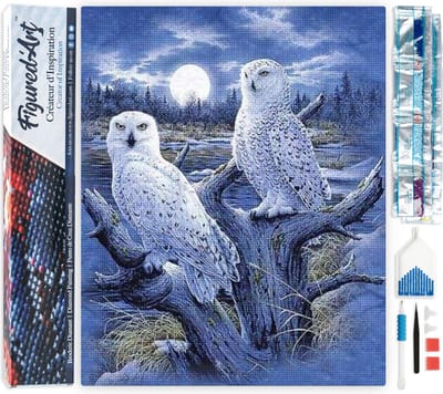 Figured'Art Diamond Painting set Volwassenen 40x50 cm Uilen en maan - 5D DIY Art full drill vierkante diamant - Opgerold canvas