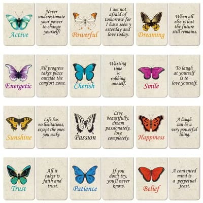 Viwado® 12x Inspirerende Magnetische Vlinder Bladwijzers – Quotes Bookmark Set – Sterke Pagina Clips voor Lezers