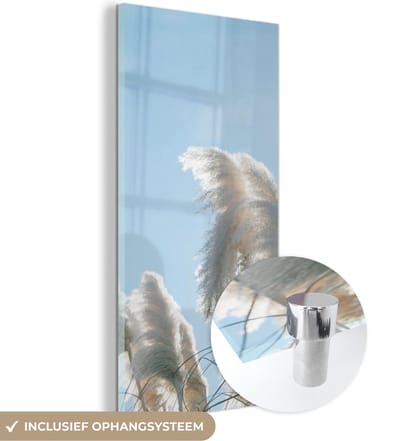 MuchoWow® Glasschilderij 20x40 cm - Schilderij acrylglas - Lucht - Gras - Pampasgras - Foto op glas - Schilderijen