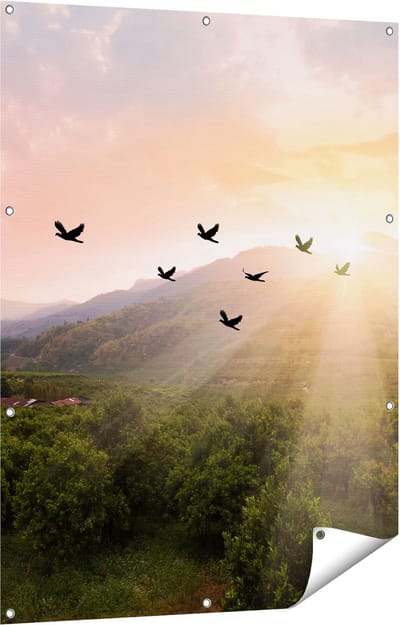 Gards Tuinposter Silhouet Zwerm Vogels bij Zonsondergang - 90x120 cm - Tuindoek - Tuindecoratie - Wanddecoratie buiten - Tuinschilderij