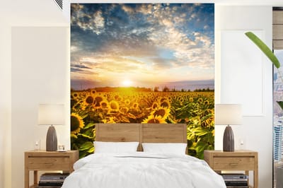 Behang - Fotobehang Bloemen - Zonnebloem - Lucht - Breedte 195 cm x hoogte 260 cm