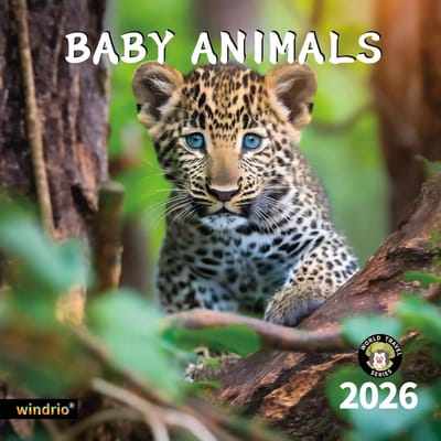 Grote Wandkalender 2024-2025: 18 Maanden Met Schattige Babydieren