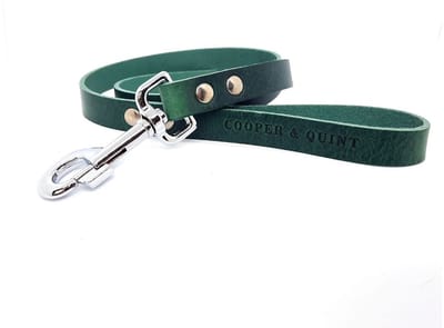 Cooper & Quint No Fuss Hondenriem - Groen - Smal - 105cm - Zilver