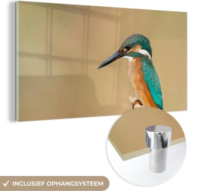 MuchoWow® Glasschilderij 40x20 cm - Schilderij acrylglas - IJsvogel - Dieren - Vogel - Foto op glas - Schilderijen
