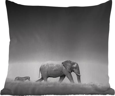Tuinkussen - Olifant - Dieren - Landschap - Zwart wit - zebra - 40x40 cm - Weerbestendig