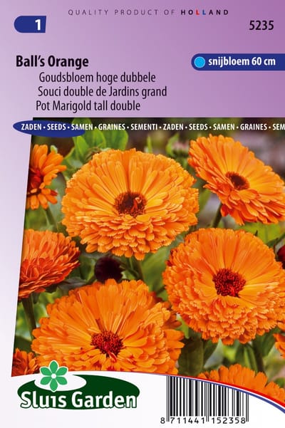 Sluis Garden - Goudsbloem Ball's Orange