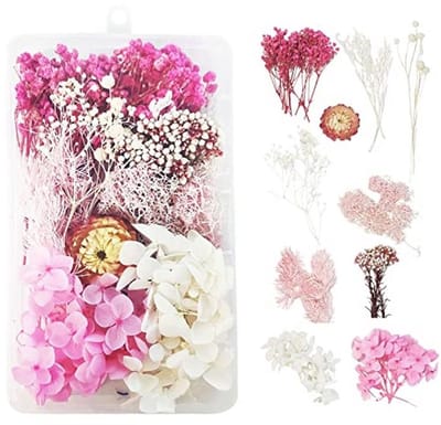 Natuurlijke Gedroogde Bloemen voor Hars, Decoratie, Doe-het-zelf Sieraden, Kaars, Nail Art, Handwerk, Scrapbooking