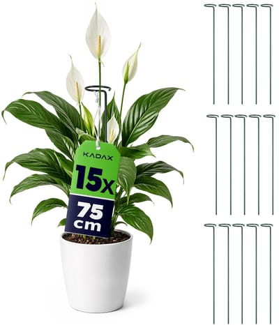 KADAX Plantensteun met oog 75 cm, stalen plantenstok, ring 6 cm, bloemensteun, groen, tuin, 15 st.