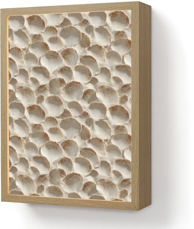 Wandlamp 30x40 cm - Oplaadbaar - Schelpen - Waaiervorm - Wit - Wandlampen binnen woonkamer - Slaapkamer lamp - Decoratieve nachtlamp - Vloerlamp draadloos